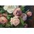 Roses in a vase on the table, French painting - O/5501