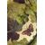 Large wall plate decorated with decoupage and gold leaf - O/5446
