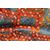 Old Morocco AIT TOUAYA carpet - n.1336