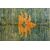 Grande tappeto quadrato OZBEK PAMIR - n. 1078 -