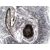 Caffettiera in argento sterling Giorgio III, William Cripps, Londra, 1762