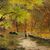 English painter (19th century) - Walk along the path.