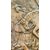 Petrified limestone bas-relief plaque, calcite - NAPOLEON III