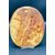 Petrified limestone bas-relief plaque, calcite - NAPOLEON III