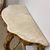 Antique monumental console + mirror Louis Philippe 1840 Gold leaf Roman area. Dimensions h 297