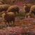 ANTIQUE PAINTINGS WITH LANDSCAPES WITH FLOCK, ÉDOUARD PAIL, OIL ON CANVAS, LATE 19TH CENTURY. (QP693)