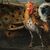 Maestro fiammingo (XVII sec.) - Natura viva con pavone, galli e gatto.