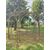 Gazebo in ferro - diametro 400 cm