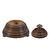 Finely turned wooden box. East India Company, 17th century.
