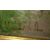 Signed French oil on canvas from the 1800s depicting a rural landscape with a house