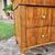 Cassettone faentino in noce Carlo X  1810
