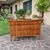 Cassettone faentino in noce Carlo X  1810
