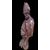 Bishop half bust