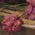 ANTIQUE PAINTINGS, ART DECO, STILL LIFE, CARNATION FLOWERS AND BOOK, OIL ON CARDboard, 20TH CENTURY. (QF671)