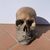 Terracotta sculpture - Memento mori. Italy, 18th-19th century.