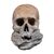 Terracotta sculpture - Memento mori. Italy, 18th-19th century.