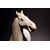 Terracotta horse