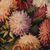 English painter (20th century) - Vase of flowers.