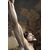 Cristo spirante in croce, legno intagliato e policromo, cerchia Anton Maria Maragliano, probabilmente Agostino Storace, Genova, XVIII secolo