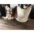 coppia di poltrone sedie Butterfly tipo Tripoline vintage