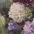 ANTIQUE FLOWER PAINTINGS, LILAC VASE, STILL LIFE, OIL ON CANVAS, ART NOUVEAU, EARLY 20TH CENTURY. (QF698)