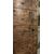 PTCR480 - Antique walnut door, studded, 18th century, dimensions cm W 75 x H 174