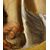 Saint Jerome, 16th-century Italian oil on panel from the entourage of Prospero Fontana (Bologna 1512 - 1597)