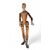 Articulated mannequin