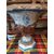 Pair of terracotta vases