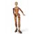 Articulated mannequin