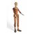 Articulated mannequin