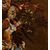Natura morta di fiori in un vaso classico, Maestro del vaso a grottesche (attivo a Roma e Napoli nel primo quarto del XVII secolo)