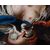 17th Century, Emilian School, Venus, Cupid and dove