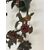 Applique Capodimonte cinque luci . Inizio XX secolo