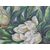 Martignago Otti (Trieste), Magnolie, 1948