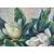 Martignago Otti (Trieste), Magnolie, 1948