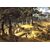 Wooded landscape with travelers and village