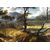 Wooded landscape with travelers and village
