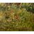 European painter (late 19th century) - Cows grazing.