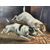 British painter (dated 1899) - Dogs chasing the mouse.
