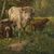 European painter (late 19th century) - Cows grazing.