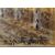 Enrico Vizzotto Alberti (Oderzo 1880 - Padua 1976) - The 7th regiment of the lancers of Milan.