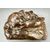 Scultura in Legno Scolpito - Putto con Cane Epoca: XIX secolo