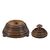 Finely turned wooden box. East India Company, 17th century.