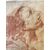 Studio di testa maschile, disegno a sanguigna su pergamena, fine XVII secolo