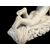 Scultura in marmo bianco, firmata Pompeo Marchesi, Amorino che scrive, 1840 Scultura in marmo bianco, firmata Pompeo Marchesi, Amorino che scrive, 1840