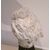 Scultura accademica del ‘900 in cera – Testa di Afrodite