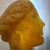Scultura accademica del ‘900 in cera testa di Venere effetto ambra