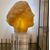 Scultura accademica del ‘900 in cera testa di Venere effetto ambra