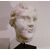 Scultura accademica del ‘900 in cera – Testa di Afrodite
